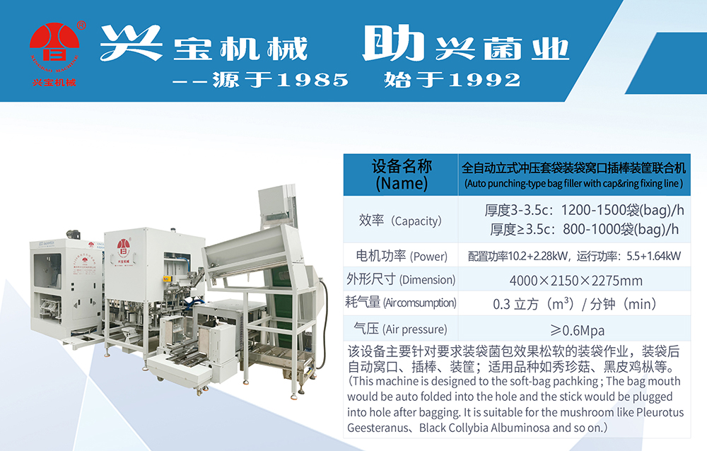P11-12(1)_01.jpg